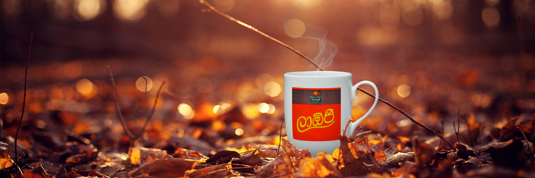 Designs that speak art