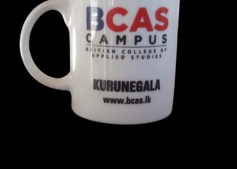 WhatsApp Image 2024-10-31 at 2.40.08 PM